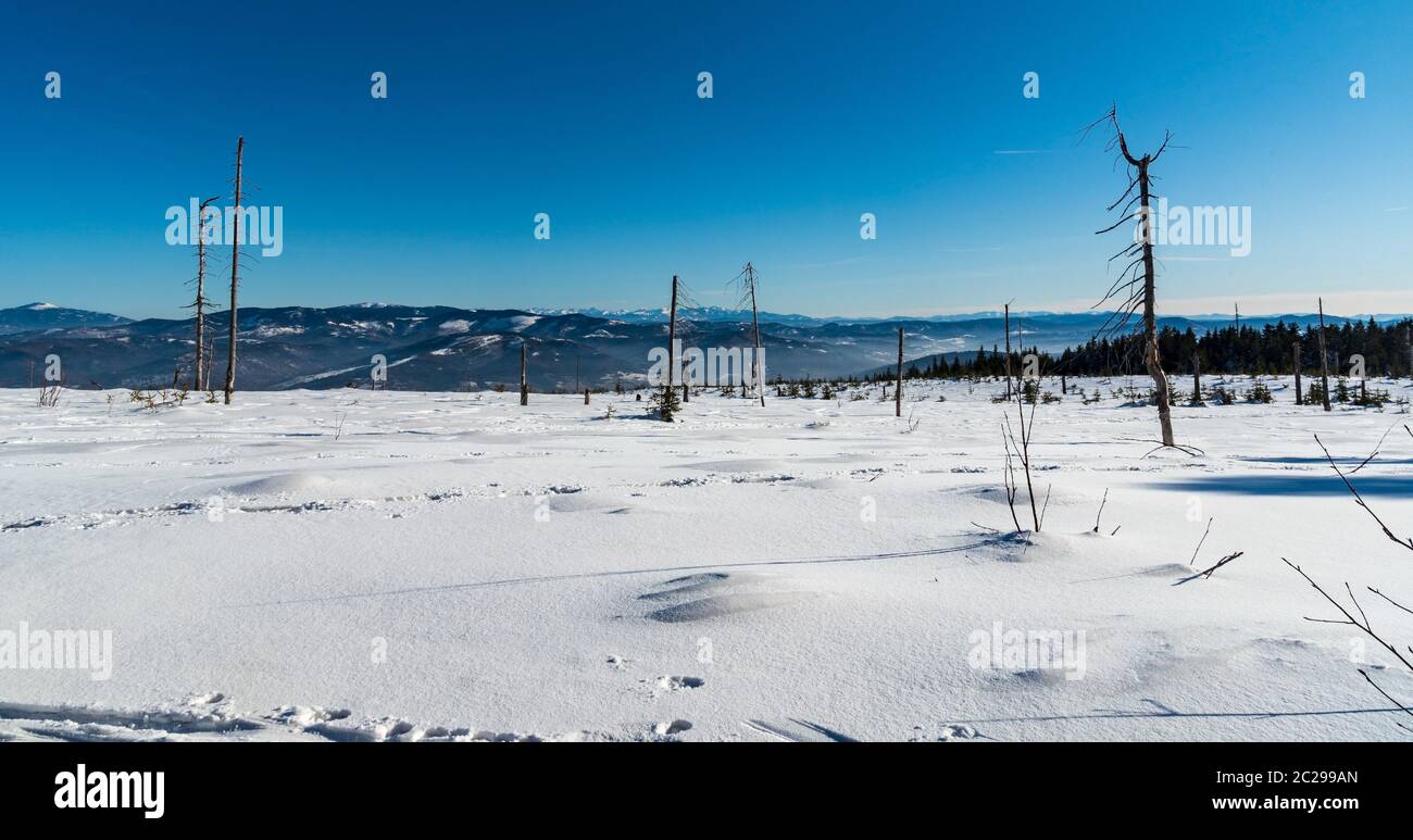 Amazaing Blick von Wierch Wiselka bei Barania Gora Hügel im Winter Beskid Slaski Berge in Polen mit vielen Hügeln, Gipfeln, Bergketten und klar Stockfoto