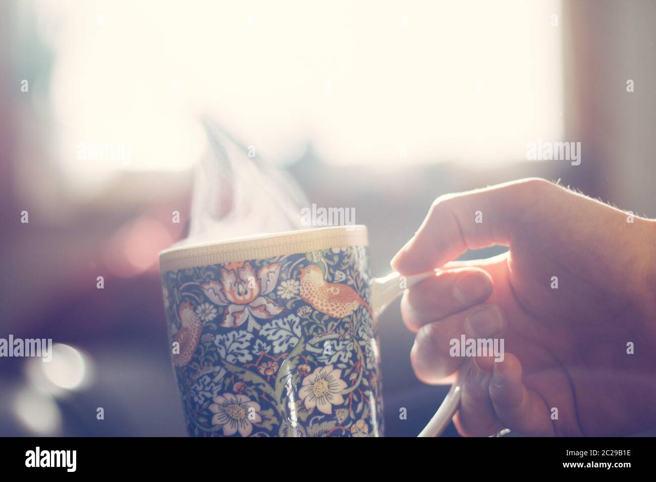 Dampfende Tasse Tee und Sonnenlicht, Warm-up im Winter Stockfoto