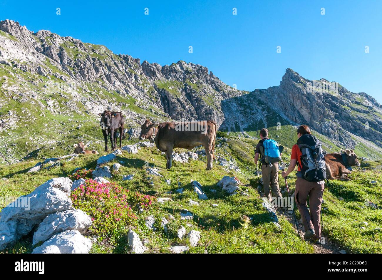 Pärchen wandern in der Morgensonne am Nebelhorn in den Allgäuer Alpen Stockfoto