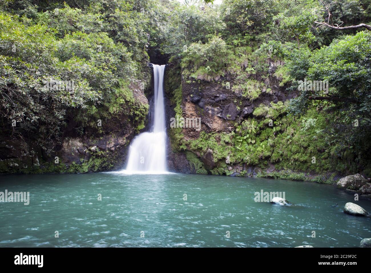 Mauritius. Kleine Wasserfälle im Tal von 23 Farben der Erde Park in Mare-aux-Aiguilles Stockfoto