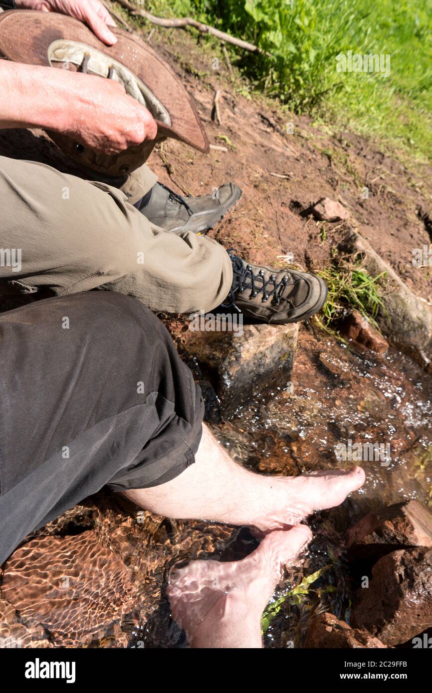 Wanderung entlang der Weitwanderweg Neckarsteig in Deutschland Stockfoto