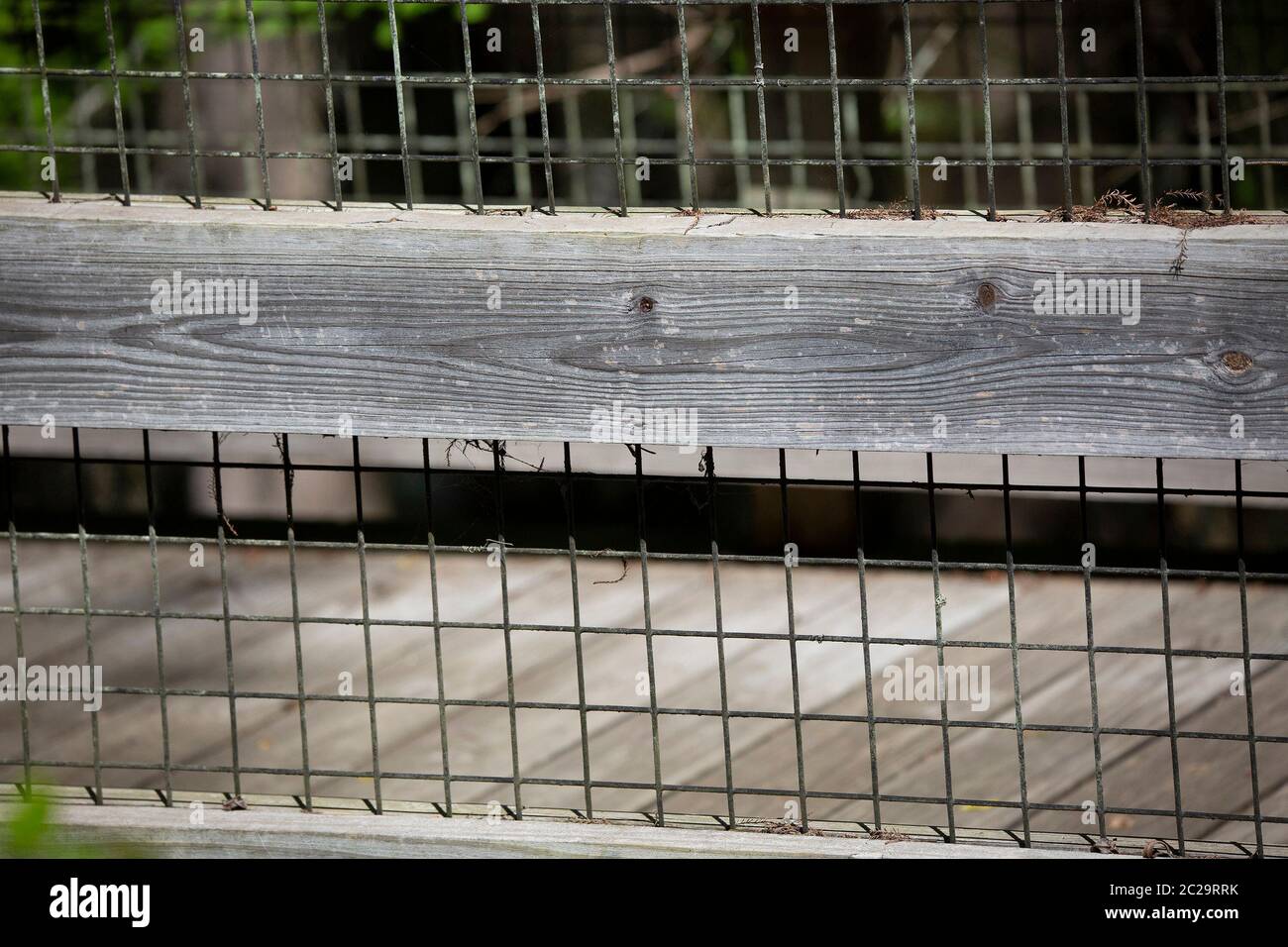 Nahaufnahme von Hähnchen Draht entwined Fechten mit Holzbohlen Stockfoto