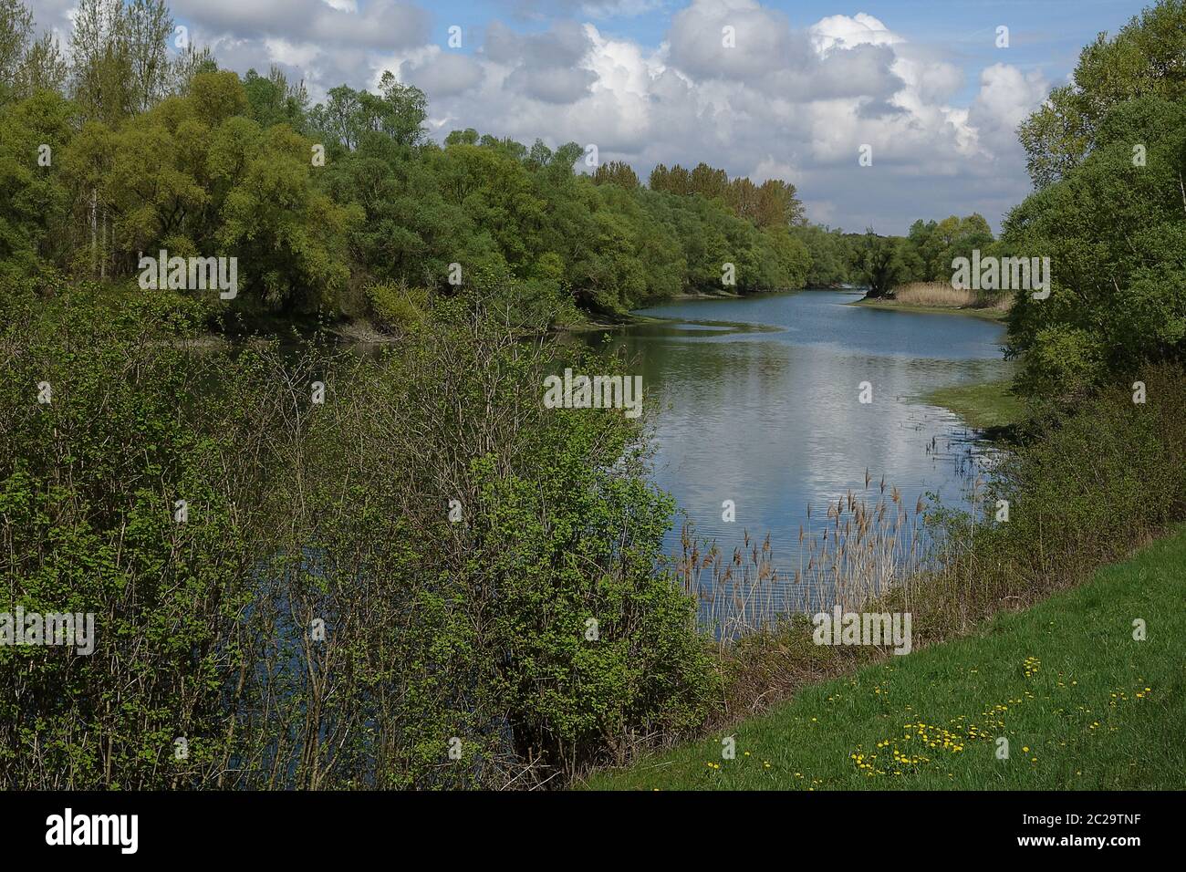 Altrheinarm im Rheingebiet bei Rastatt Stockfoto