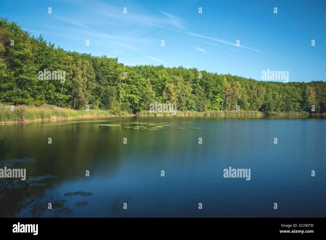 Ende des Sommers Stockfoto