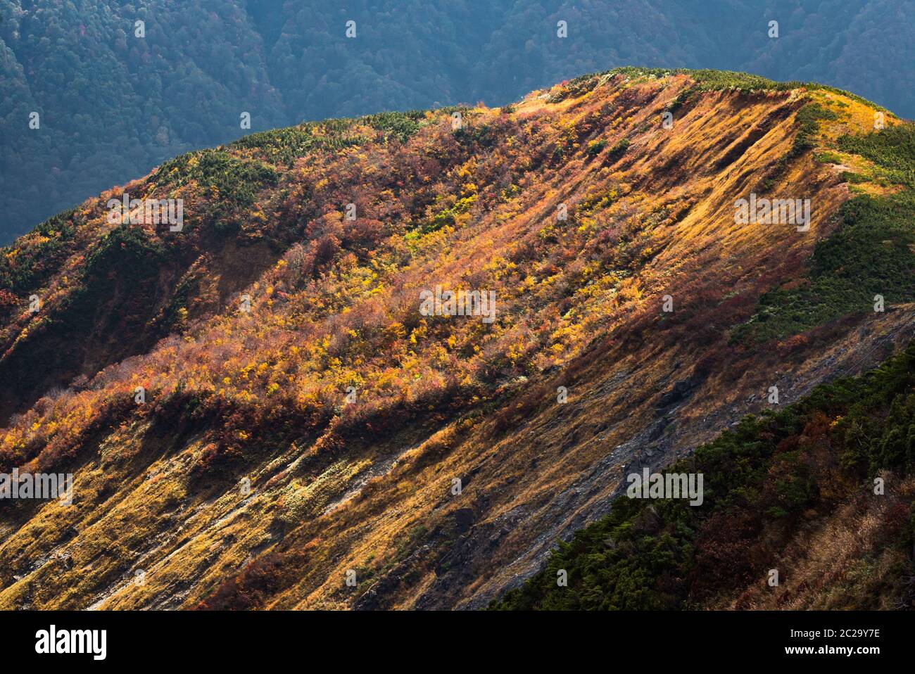 Landschaft Herbst von Hakuba Tal in Nagano Chubu Japan Stockfoto