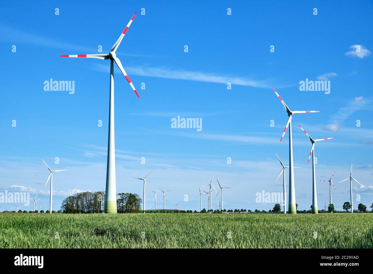 Moderne Windenergieanlagen in einem Maisfeld in Deutschland gesehen Stockfoto