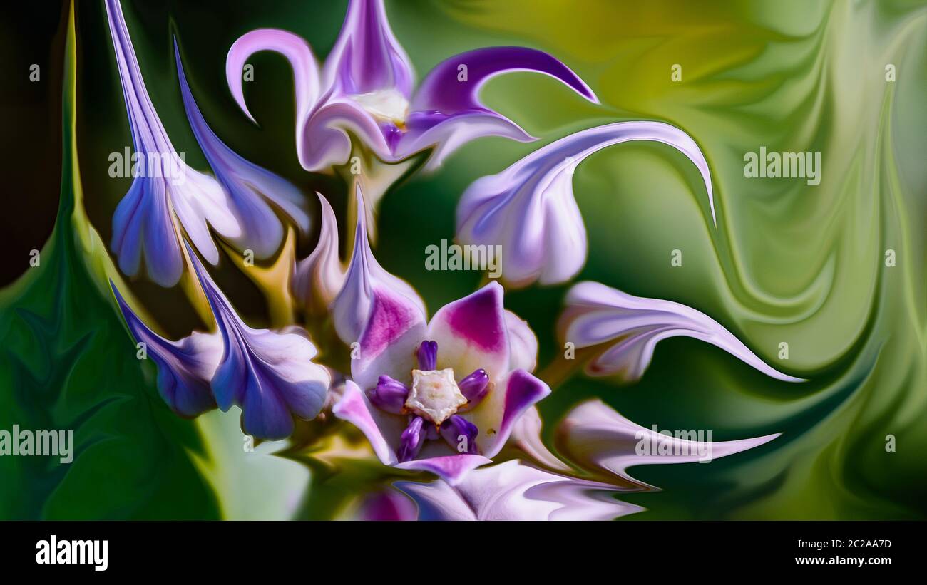 Violette Blume abstrakt Stockfoto