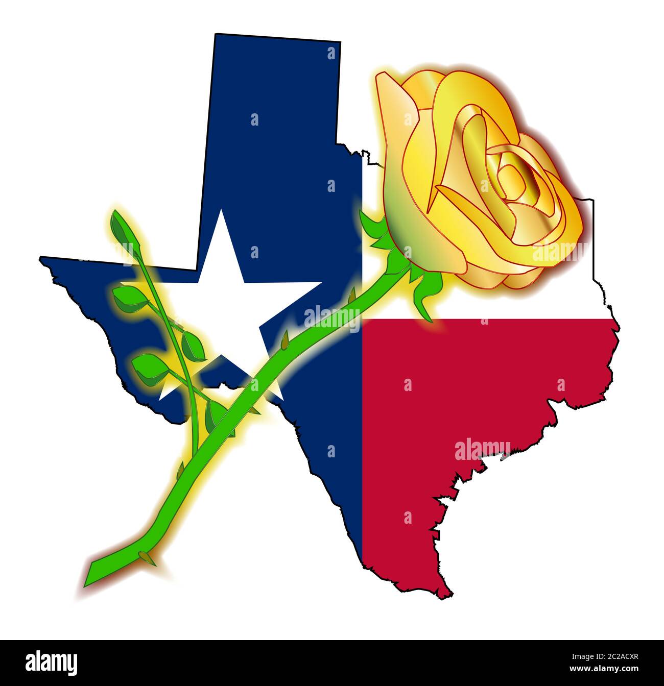 Texas gelbe rose Ausgeschnittene Stockfotos und -bilder - Alamy
