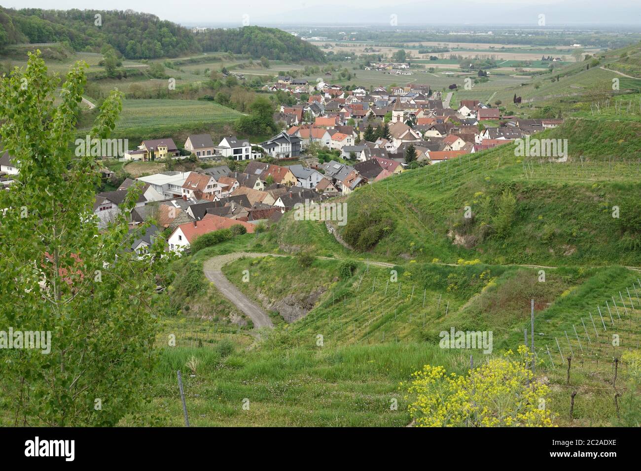 Blick auf Vogtsburg Acht-Wagen im kaiserlichen Stuhl Stockfoto