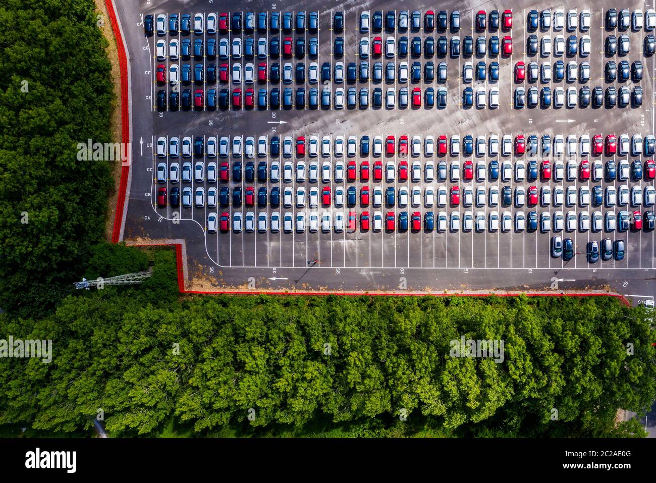 Ein Überblick über neue Autos, die am Royal Portbury Dock in Avonmouth, Bristol geparkt wurden. Stockfoto