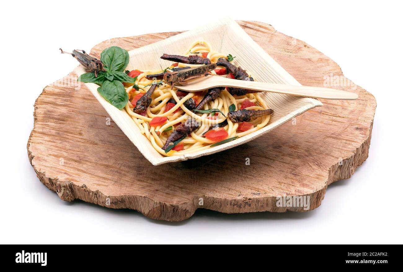 Grasshopper gebraten mit Pasta-Tomaten und Paprika in einer Schüssel mit Palmblatt auf einer Baumscheibe Stockfoto