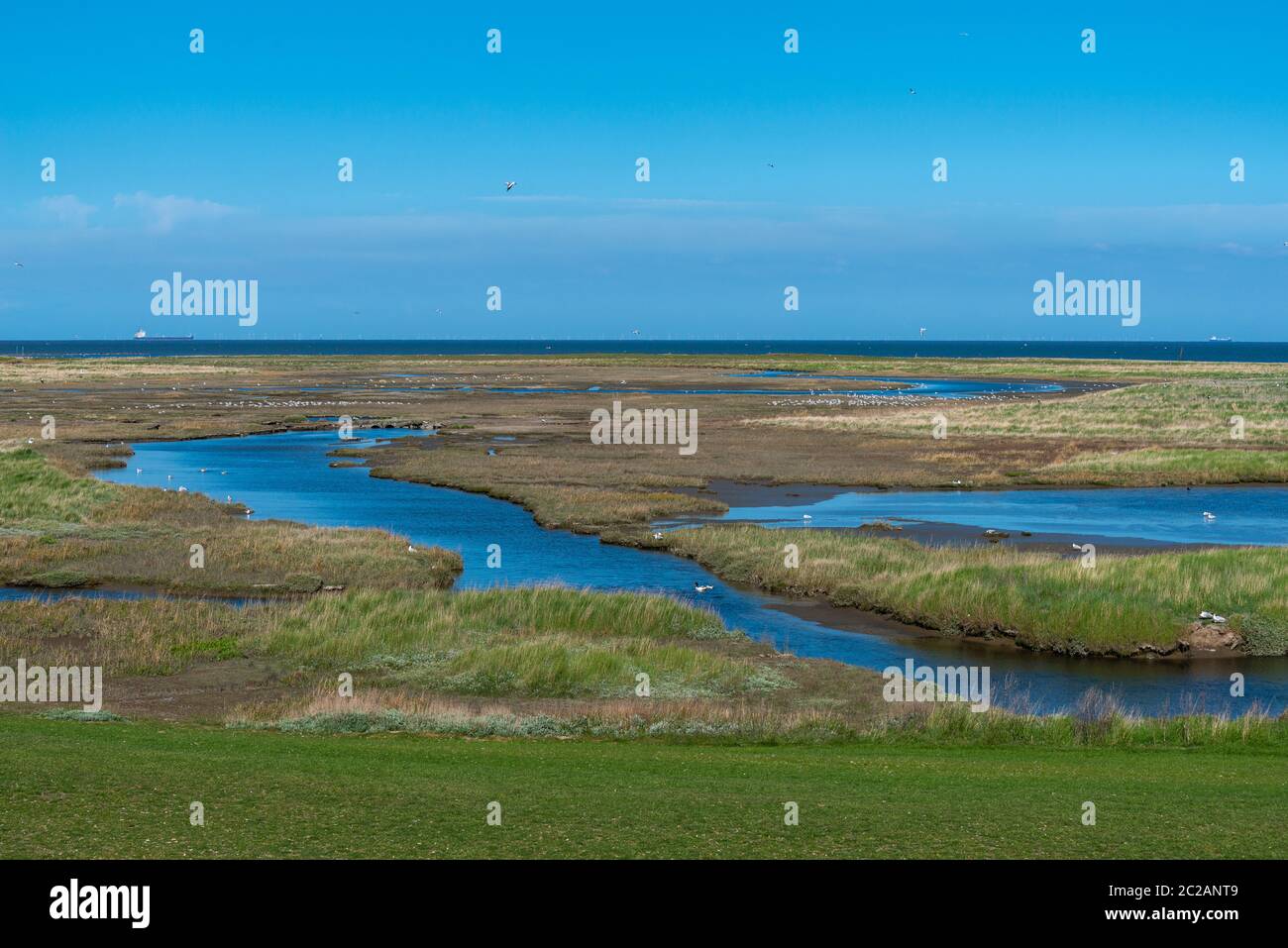 Nordseeinsel Neuwerk im Wattenmeer, Bundesland Hamburg, UNESCO-Weltkulturerbe, Nationalpark Zone I, Norddeutschland, Europa Stockfoto