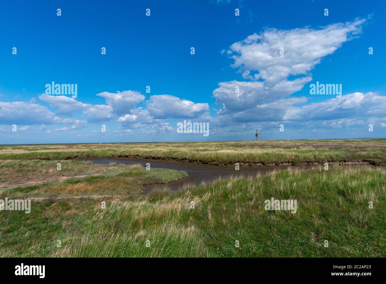 Nordseeinsel Neuwerk im Wattenmeer, Bundesland Hamburg, UNESCO-Weltkulturerbe, Nationalpark Zone I, Norddeutschland, Europa Stockfoto