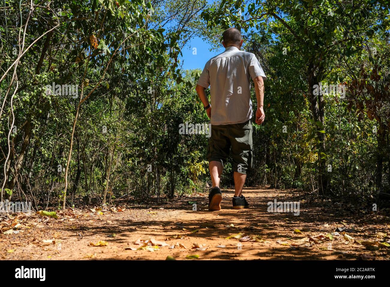 Mann beim Wandern auf dem Monsoon Forest Trail im East Point Reserve in Darwin, Australien Stockfoto