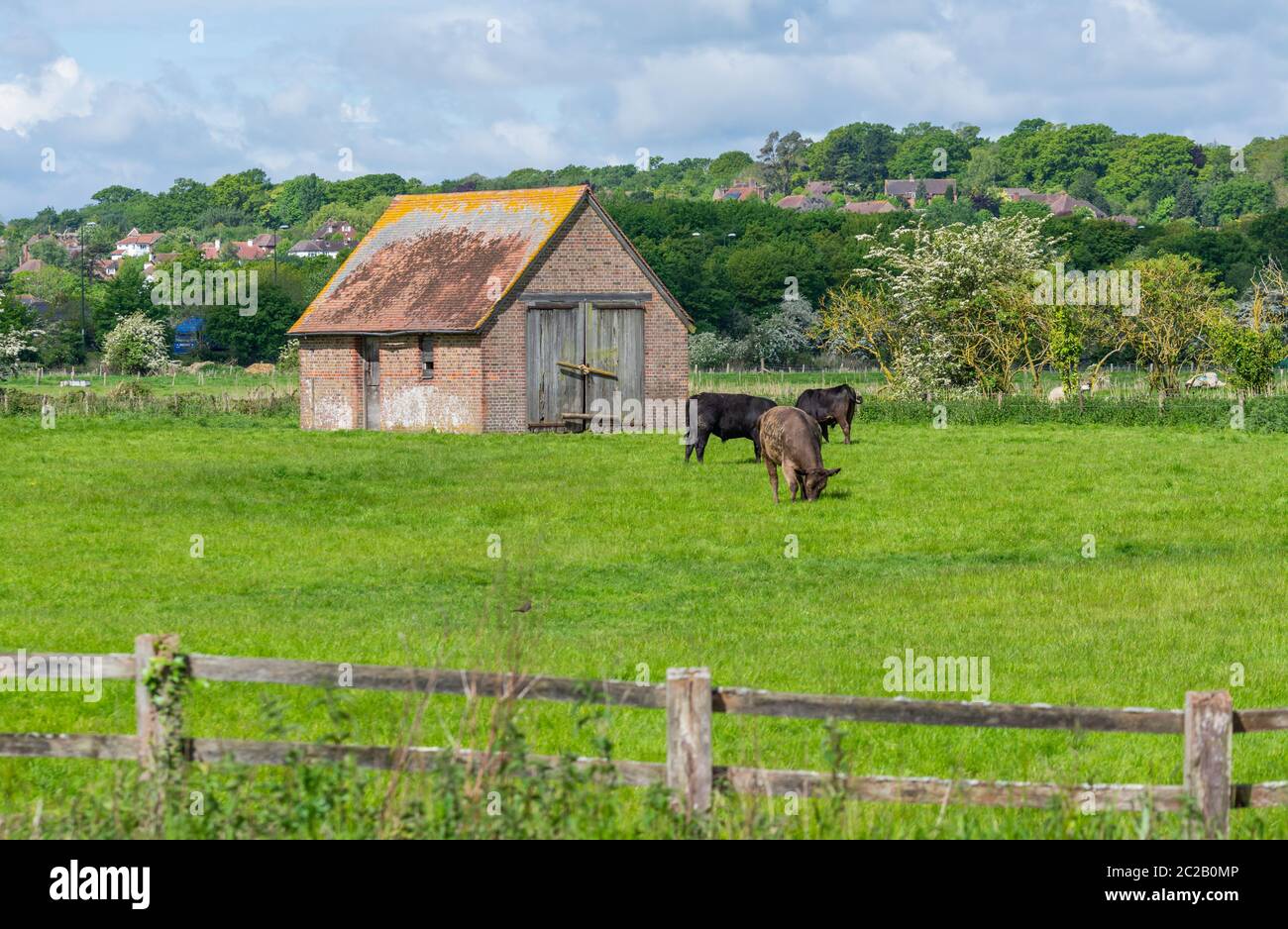 Kleine überdachte Ziegelscheune in einem Feld in West Sussex, England, Großbritannien. Stockfoto