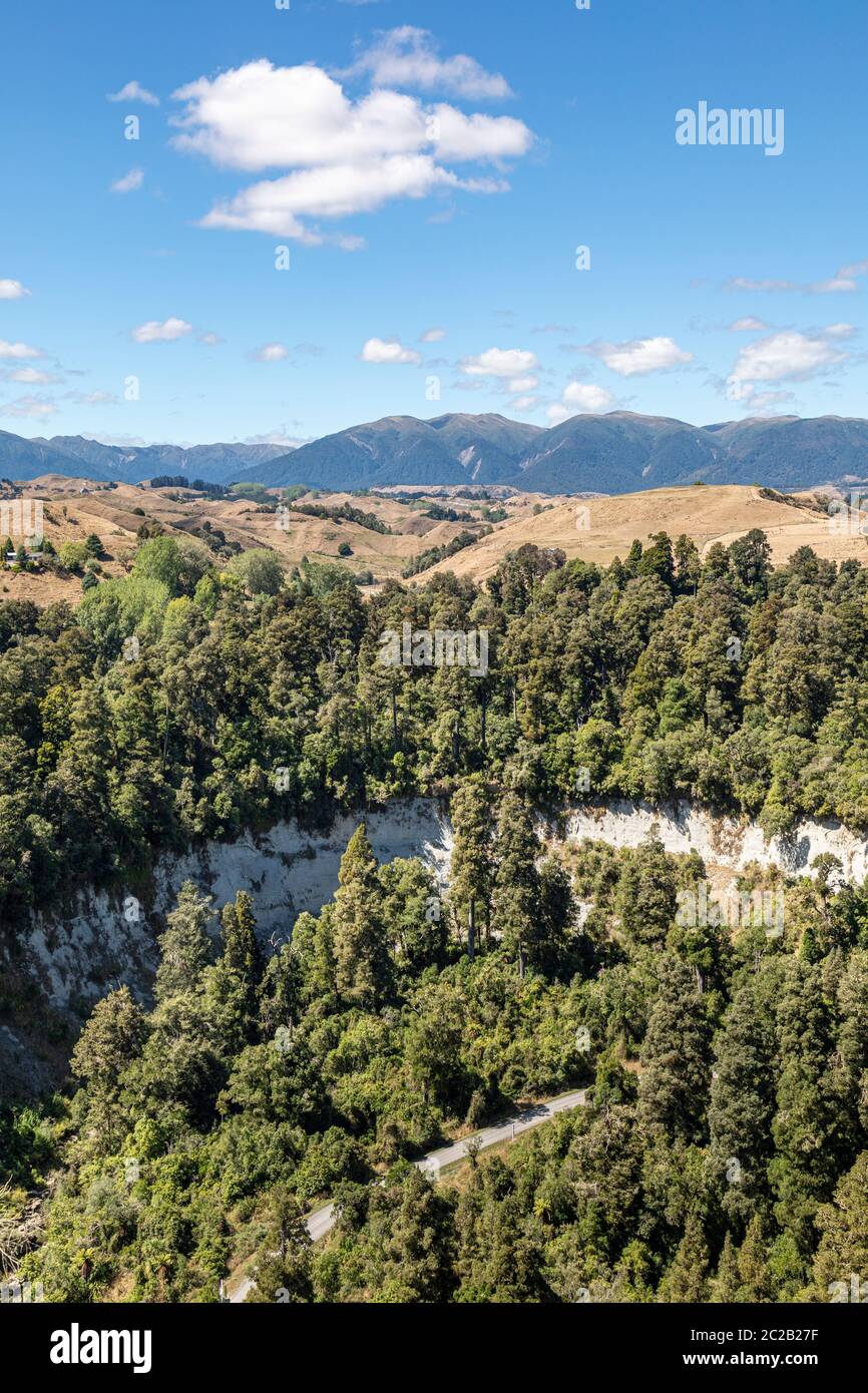 Ruahine Dress Circle Reserve, Manawatu-Wanganui, Nordinsel, Neuseeland Stockfoto
