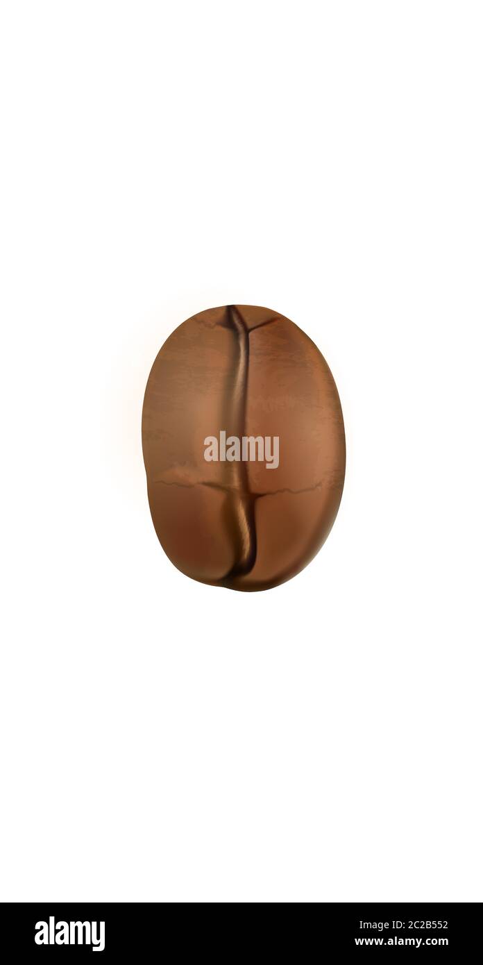 3D realistische Kaffeebohne Social Media Cover. Hebt Textabschnitte hervor, die als Vorlage mit weißem Hintergrund isoliert sind. Café Barista Kaffee Getränk Store Konzept Vektor Stock Vektor