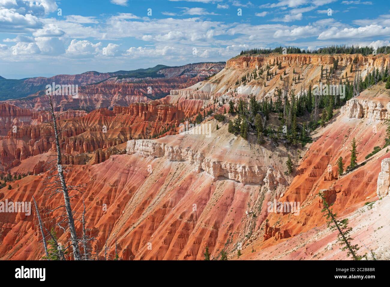 Bunte Klippen im Sommer Sonne in Cedar Breaks National Monument in Utah Stockfoto