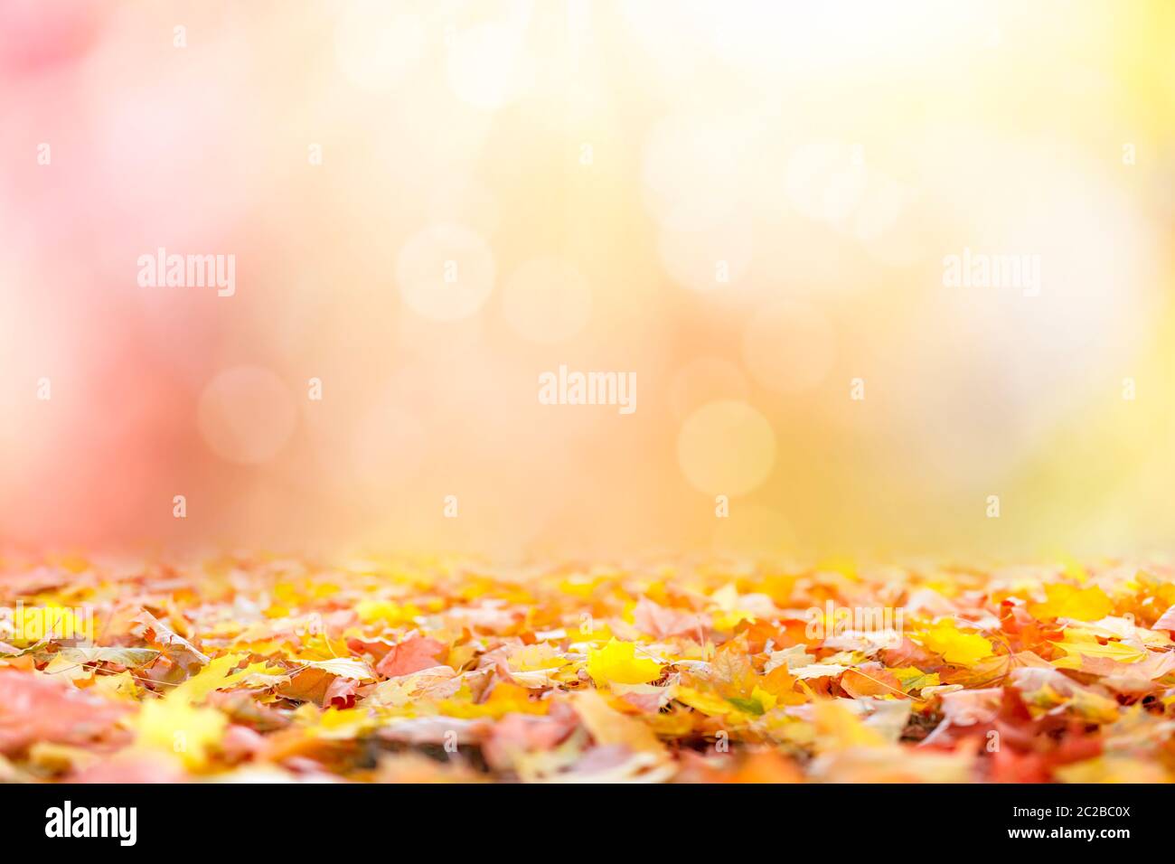 Abstrakter Herbsthintergrund mit bunten Blättern Stockfoto
