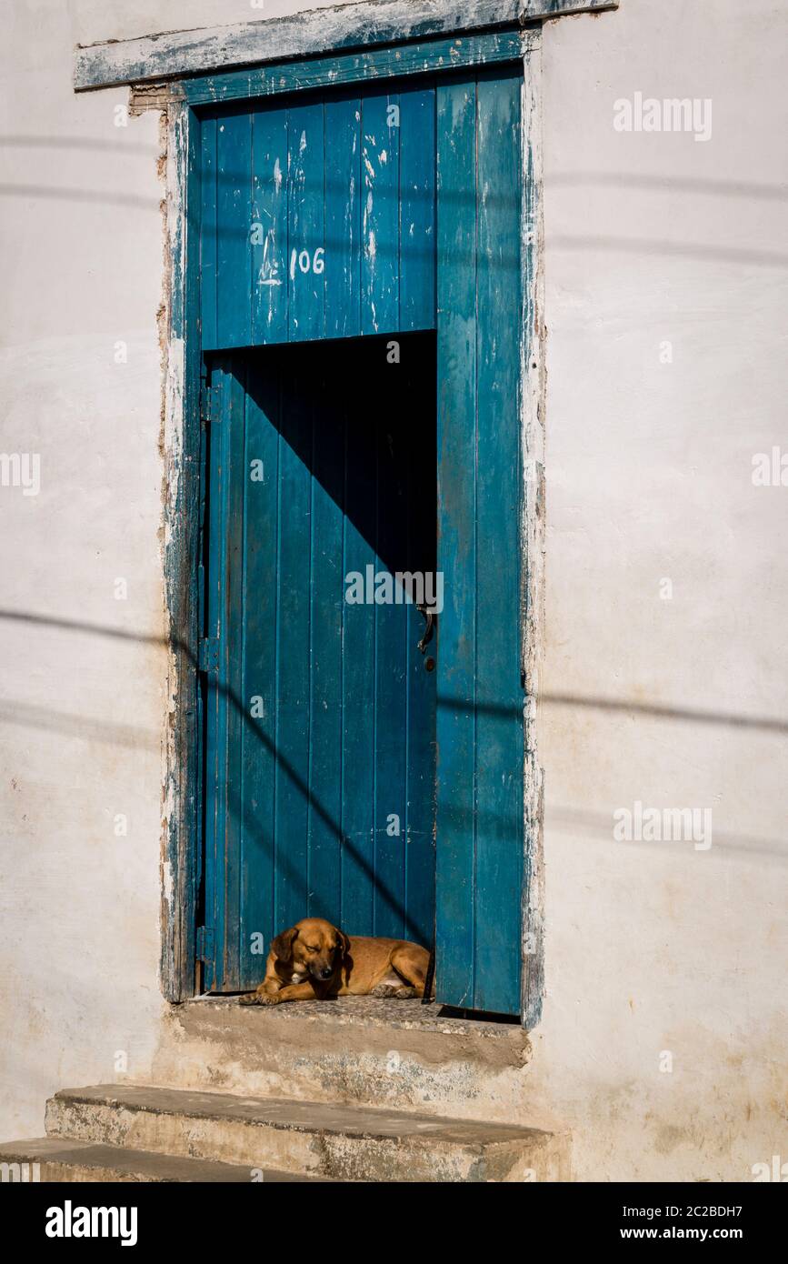 Hund schläft an der Schwelle eines Hauses, Trinidad, Kuba Stockfoto