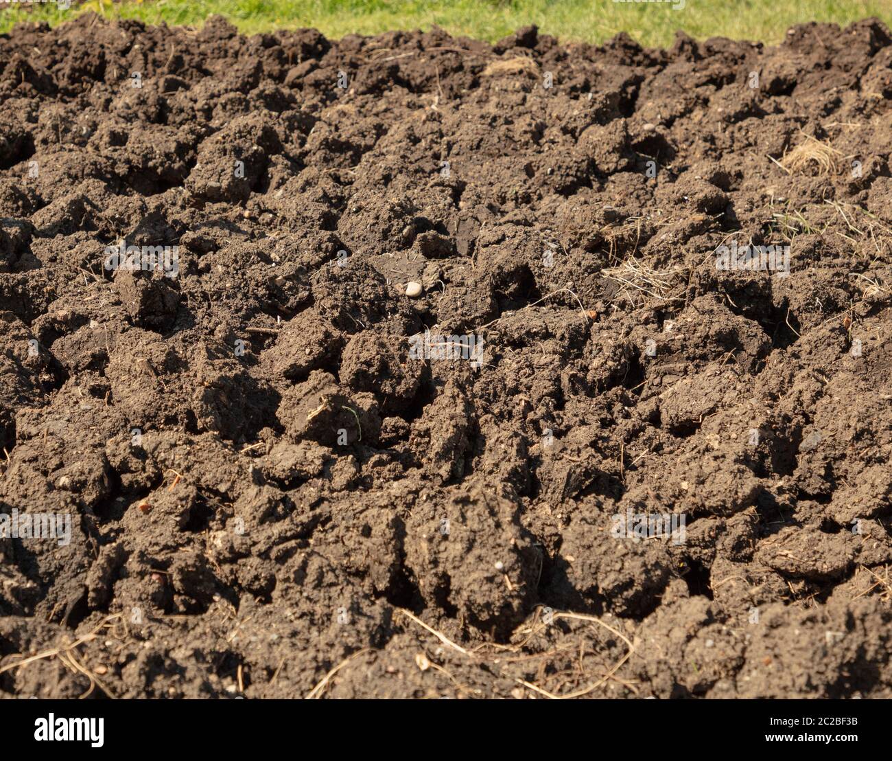 Boden drehte sich grob gesehen auf der Zuteilung Garten im Juni, bereit, verrottet und mit Süßmais gepflanzt werden. Stockfoto