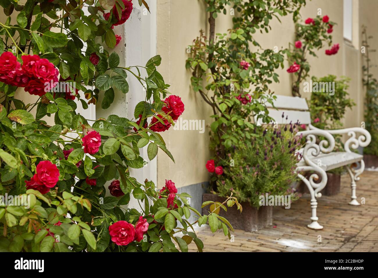 Hauseingang mit Blumen geschmückt. Rustikales Konzept. Schöne Designelemente Stockfoto