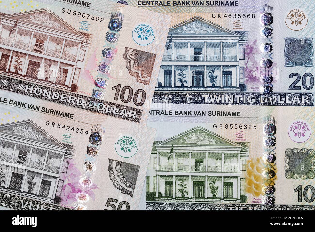 Surinamesischer Dollar ein Hintergrund Stockfoto