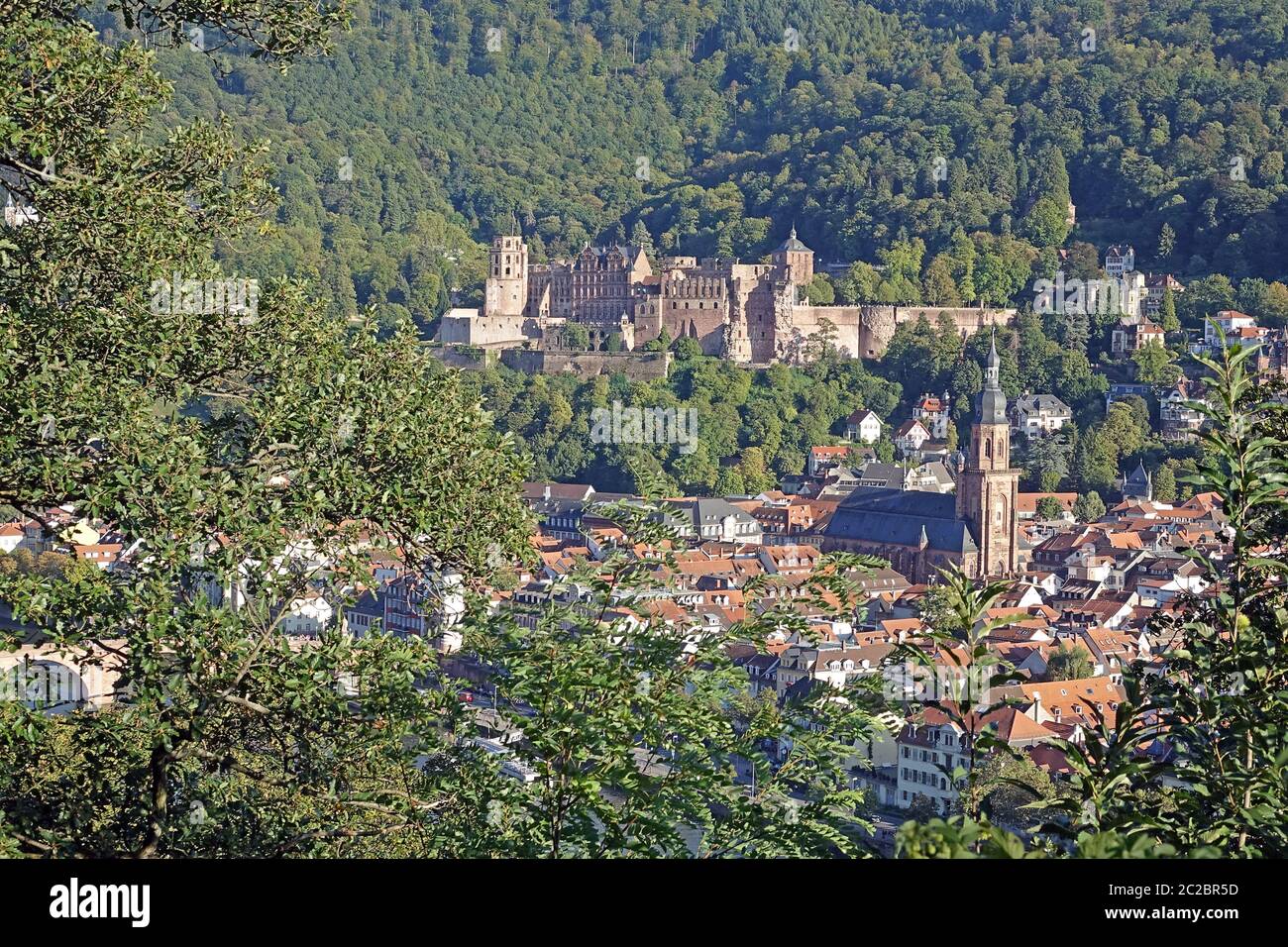 Blick auf das Heidelberger Schloss und die Heidelberger Altstadt mit der Heiligengeistkirche Stockfoto