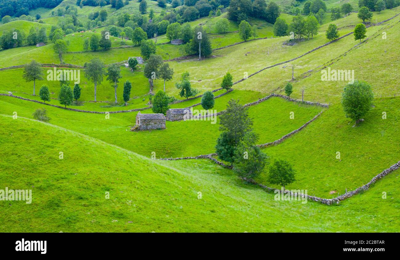 Luftaufnahme mit einer Drohne von der Frühlingslandschaft von paliegas Hütten und Wiesen im Miera Tal in der Autonomen Gemeinschaft Kantabrien. Spanien, Europa Stockfoto