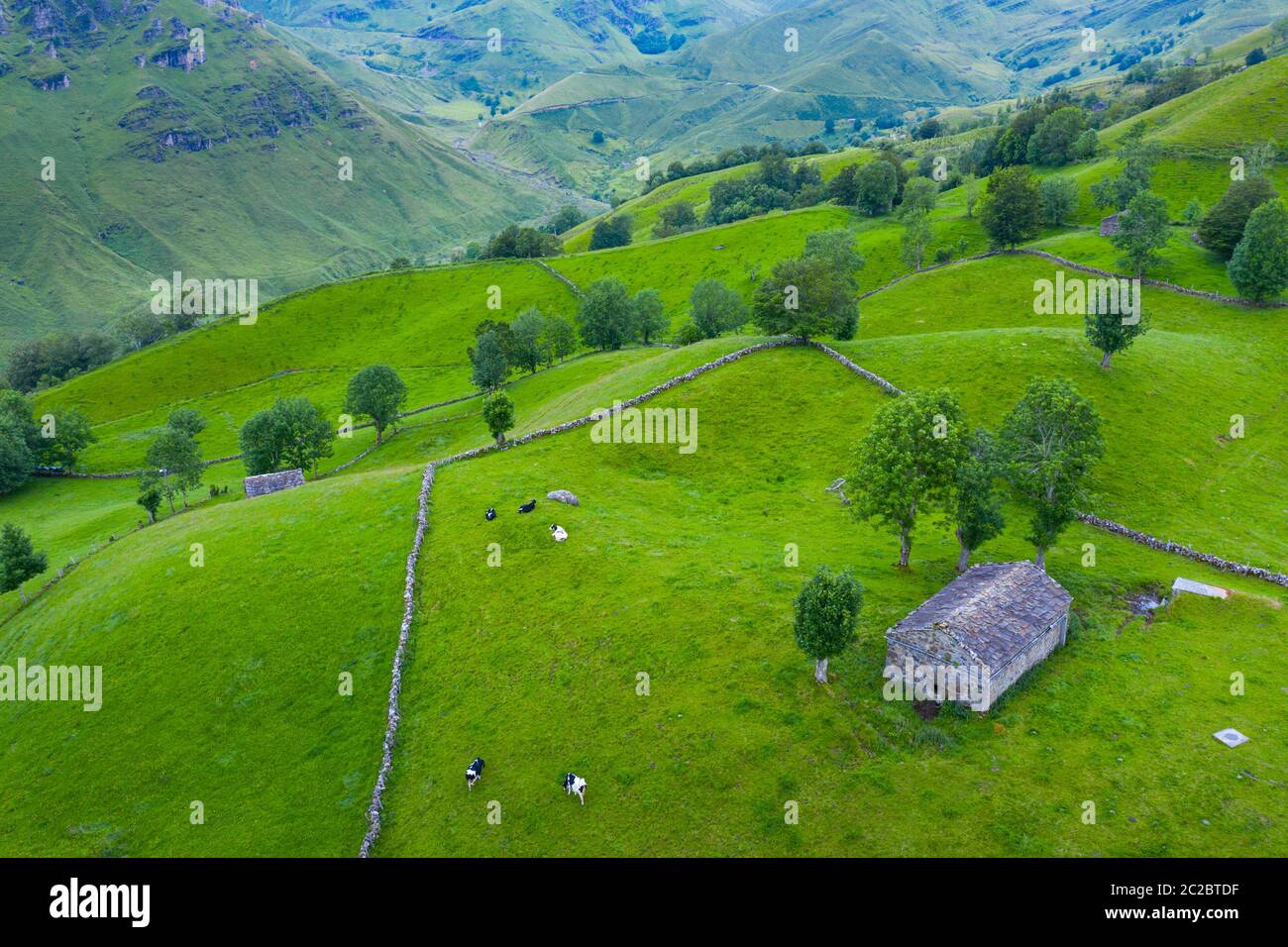 Luftaufnahme mit einer Drohne von der Frühlingslandschaft von paliegas Hütten und Wiesen im Miera Tal in der Autonomen Gemeinschaft Kantabrien. Spanien, Europa Stockfoto