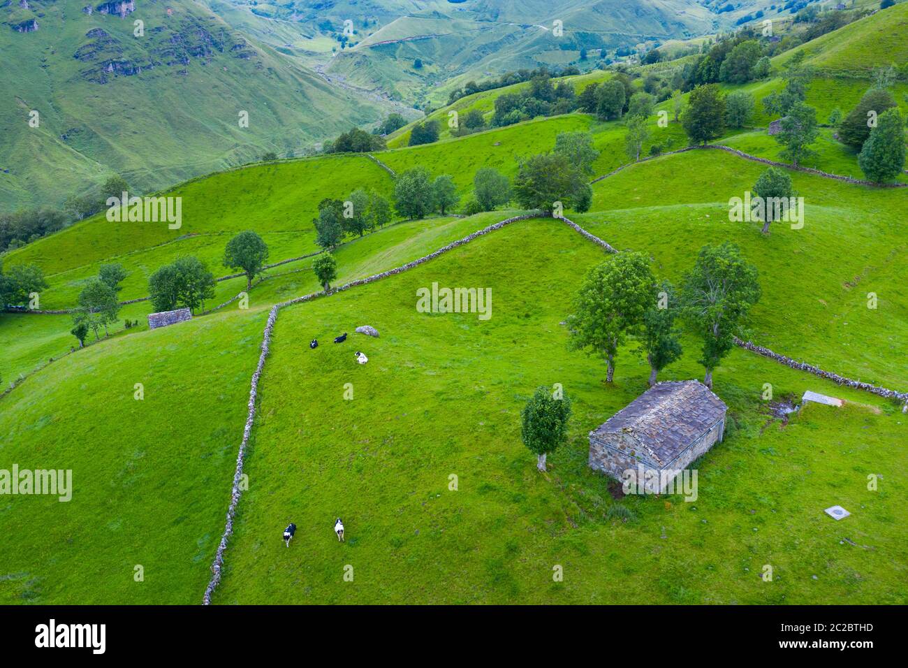 Luftaufnahme mit einer Drohne von der Frühlingslandschaft von paliegas Hütten und Wiesen im Miera Tal in der Autonomen Gemeinschaft Kantabrien. Spanien, Europa Stockfoto