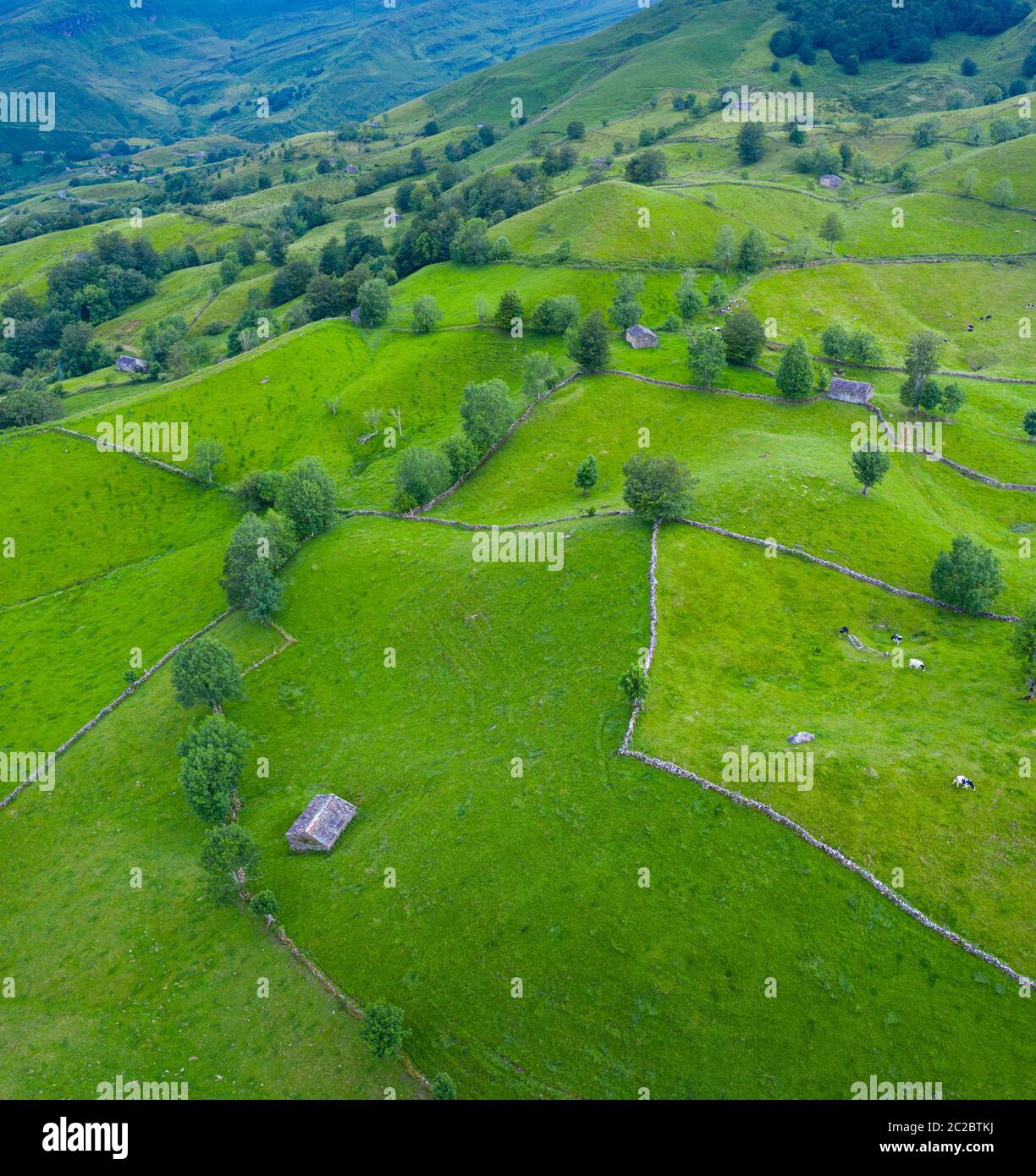 Luftaufnahme mit einer Drohne von der Frühlingslandschaft von paliegas Hütten und Wiesen im Miera Tal in der Autonomen Gemeinschaft Kantabrien. Spanien, Europa Stockfoto