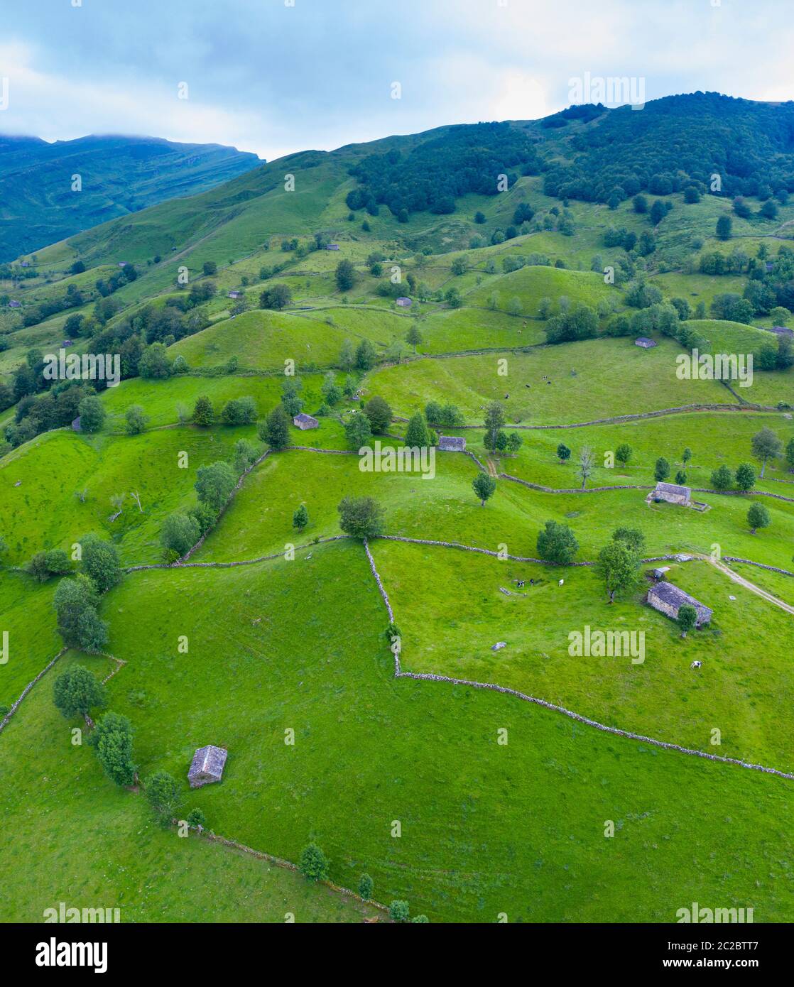 Luftaufnahme mit einer Drohne von der Frühlingslandschaft von paliegas Hütten und Wiesen im Miera Tal in der Autonomen Gemeinschaft Kantabrien. Spanien, Europa Stockfoto