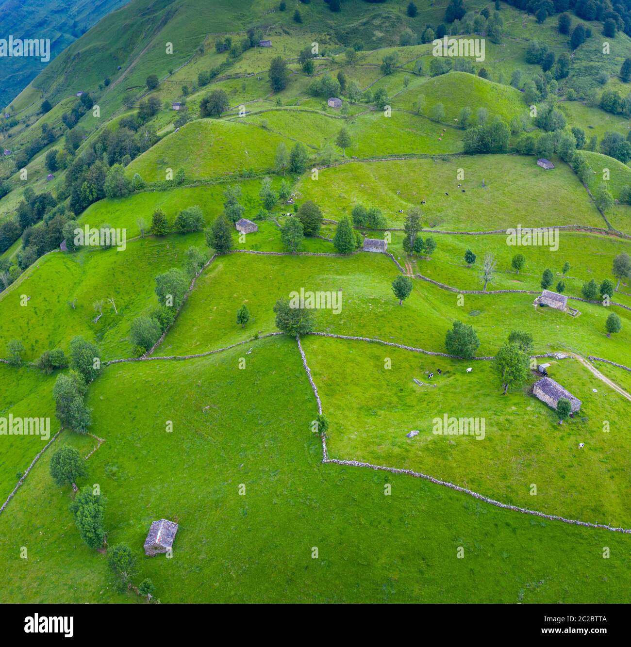 Luftaufnahme mit einer Drohne von der Frühlingslandschaft von paliegas Hütten und Wiesen im Miera Tal in der Autonomen Gemeinschaft Kantabrien. Spanien, Europa Stockfoto