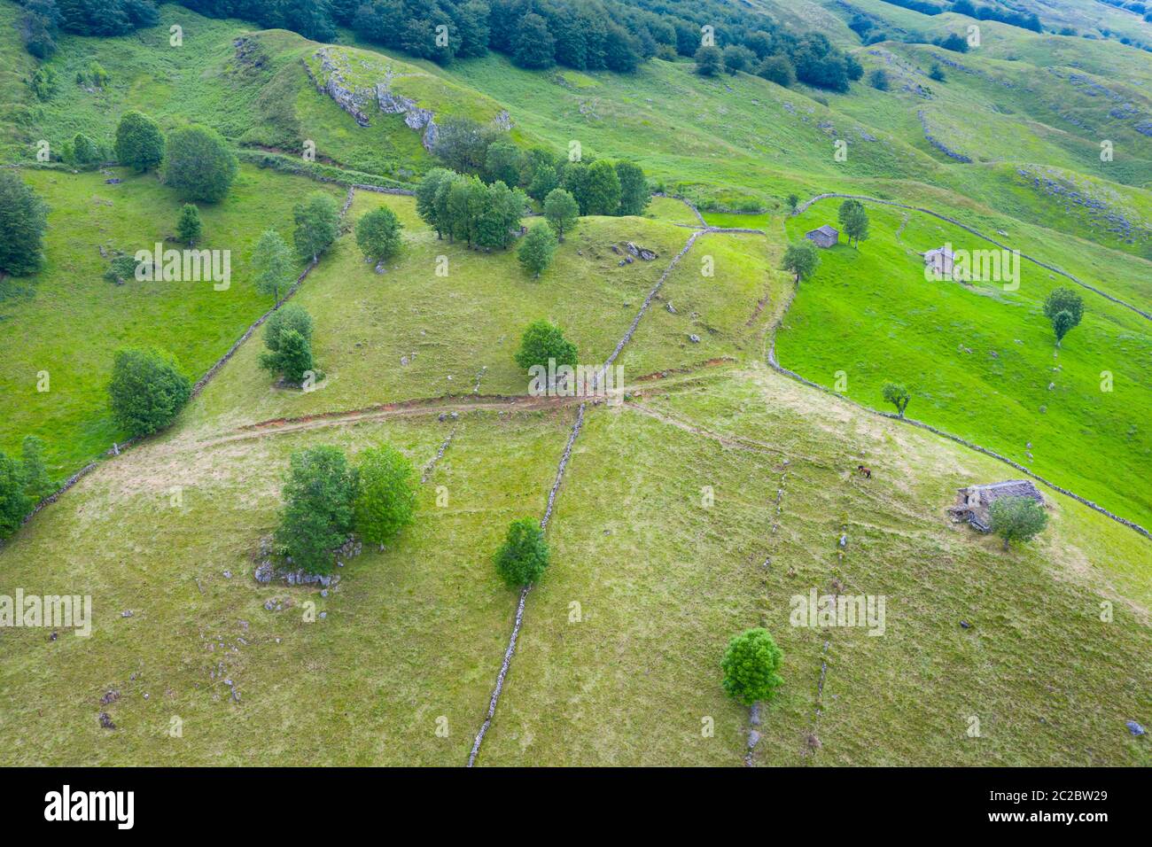 Luftaufnahme mit einer Drohne von der Frühlingslandschaft von paliegas Hütten und Wiesen im Miera Tal in der Autonomen Gemeinschaft Kantabrien. Spanien, Europa Stockfoto