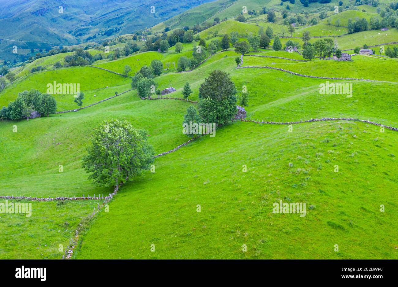 Luftaufnahme mit einer Drohne von der Frühlingslandschaft von paliegas Hütten und Wiesen im Miera Tal in der Autonomen Gemeinschaft Kantabrien. Spanien, Europa Stockfoto