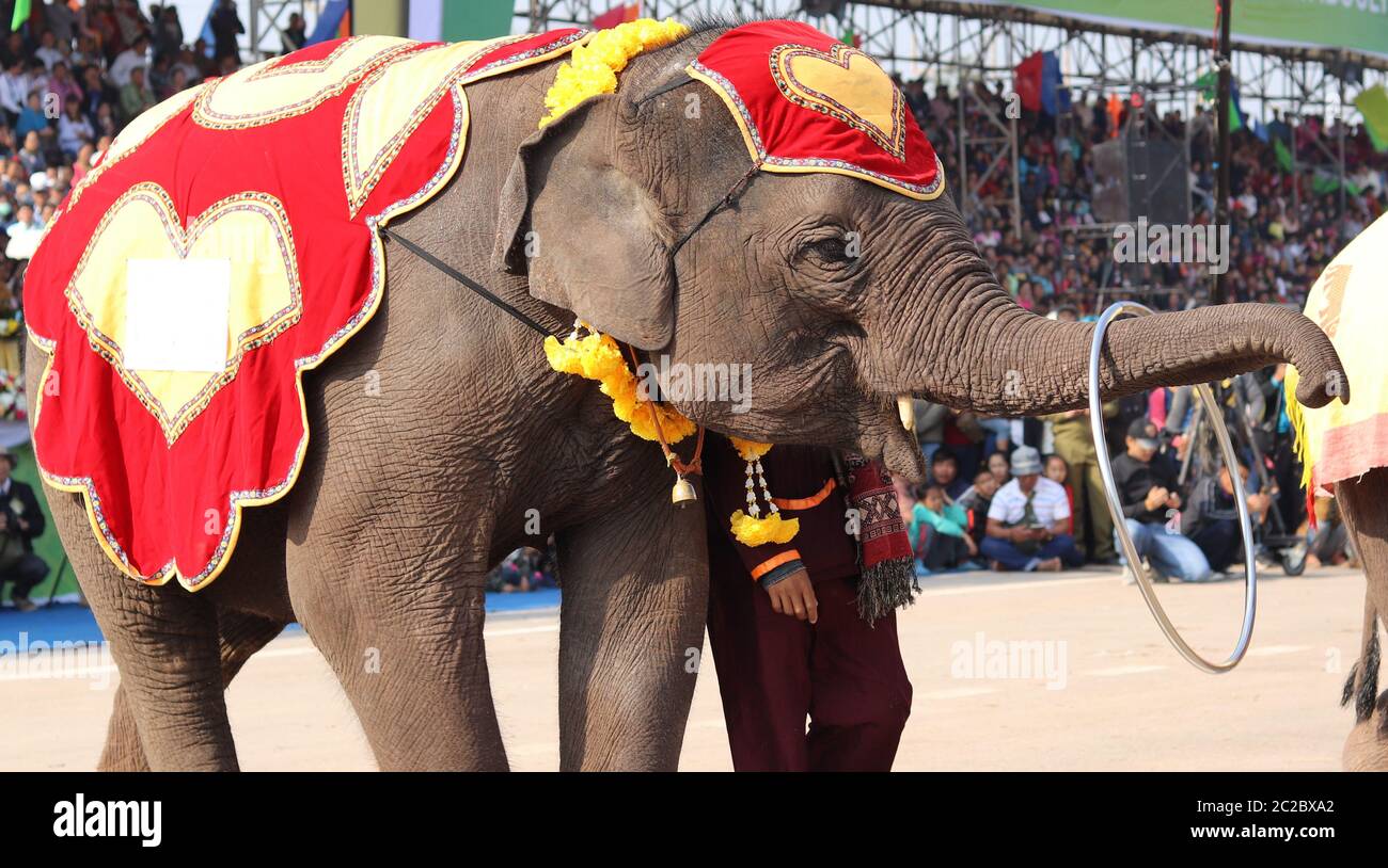 Farbenfrohe Dekoration des Elefanten und die Show während des Elefantenfestivals, Provinz Sayaboury, Laos Stockfoto