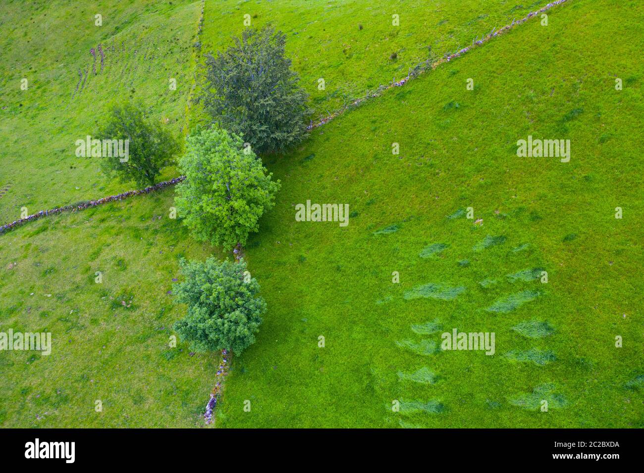 Luftaufnahme mit einer Drohne von der Frühlingslandschaft von paliegas Hütten und Wiesen im Miera Tal in der Autonomen Gemeinschaft Kantabrien. Spanien, Europa Stockfoto