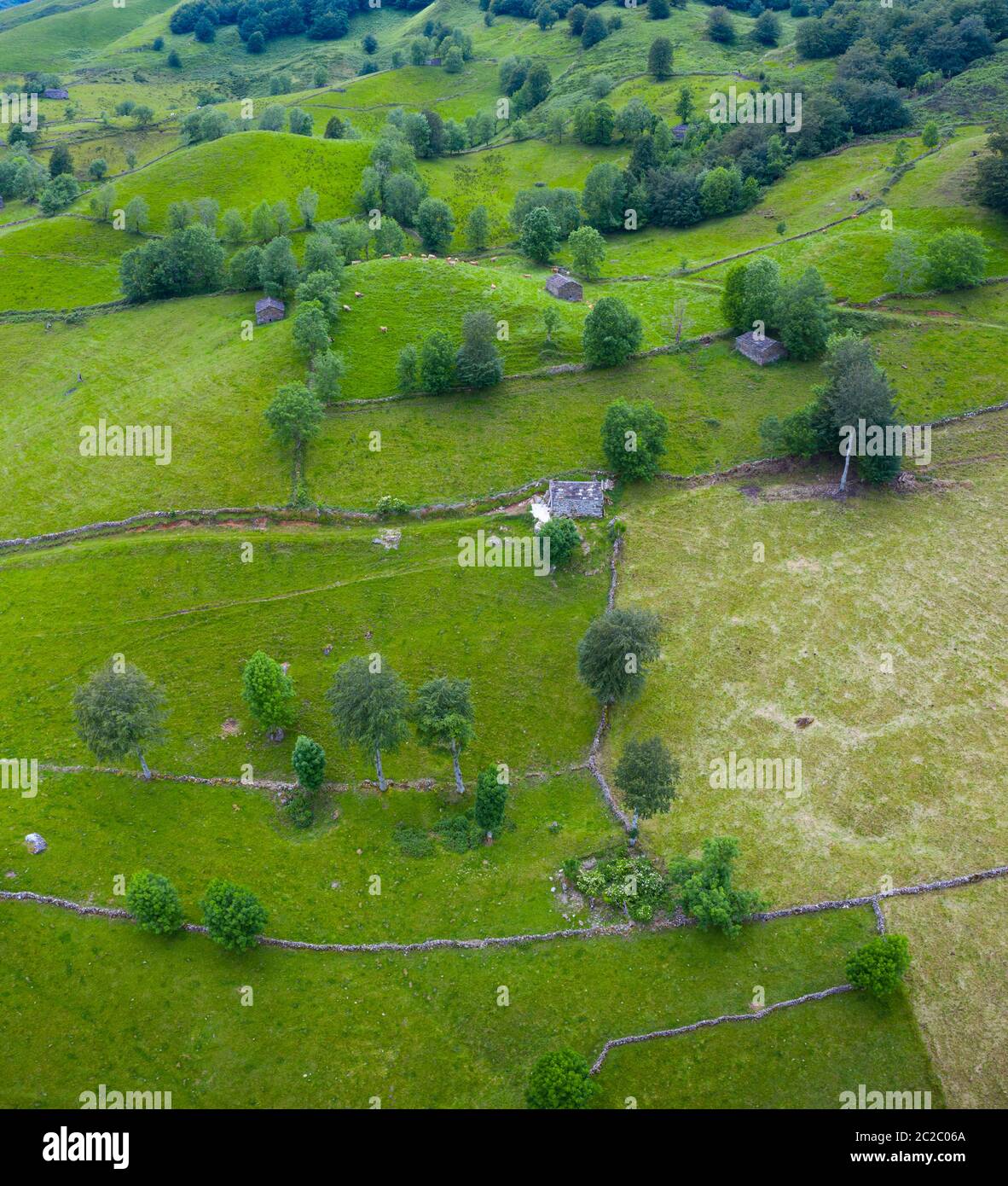 Luftaufnahme mit einer Drohne von der Frühlingslandschaft von paliegas Hütten und Wiesen im Miera Tal in der Autonomen Gemeinschaft Kantabrien. Spanien, Europa Stockfoto