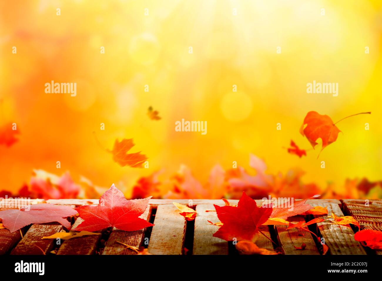 Goldener Herbstuntergang mit bunten Baumblättern Stockfoto