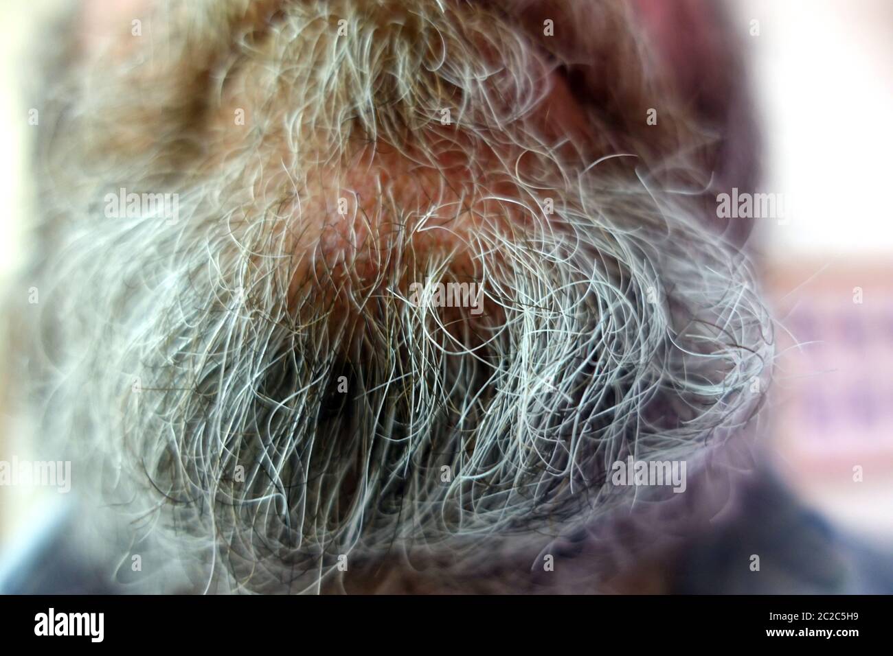 Old mans grauen Bart Nahaufnahme Stockfoto
