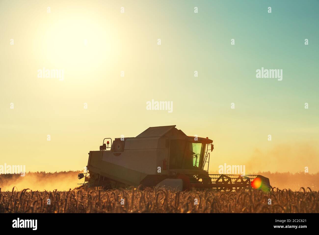 Kombinieren Sie Mähdrescher Landwirtschaftsmaschine Ernte goldenen reif Weizenfeld Stockfoto