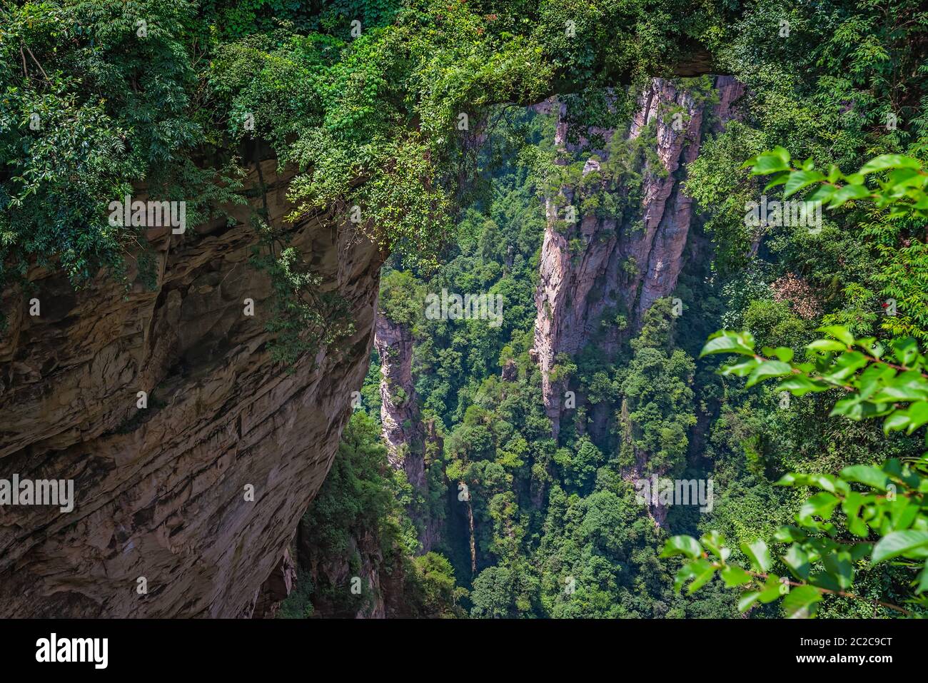 Blick von der malerischen Plattform über den Tian Qiao oder die größte natürliche Brücke in Yuanjiajie Scenic Area, Niagara-on-the-Lake Forest Park, Provinz Hunan, Ch Stockfoto