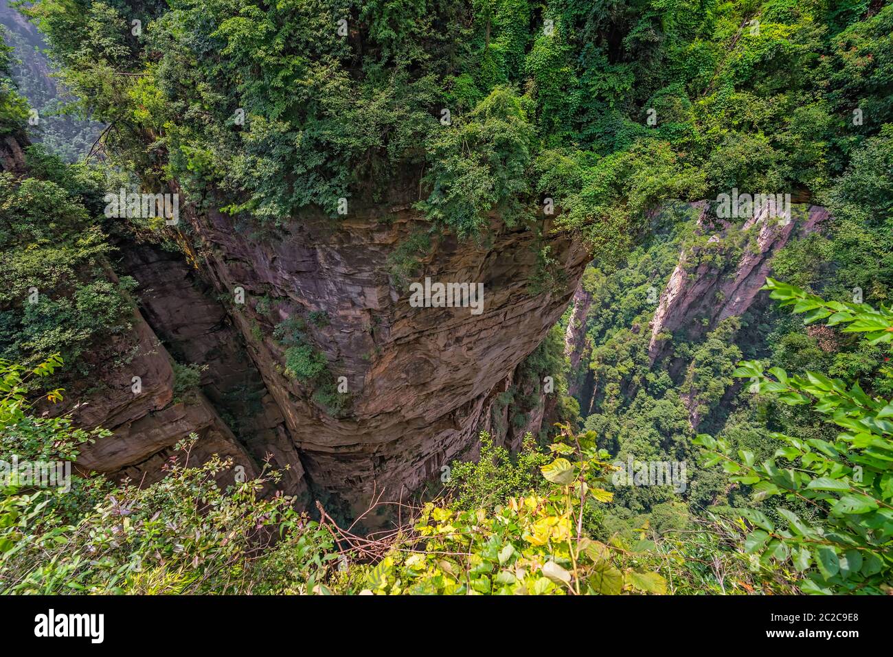 Blick von der malerischen Plattform über den Tian Qiao oder die größte natürliche Brücke in Yuanjiajie Scenic Area, Niagara-on-the-Lake Forest Park, Provinz Hunan, Ch Stockfoto