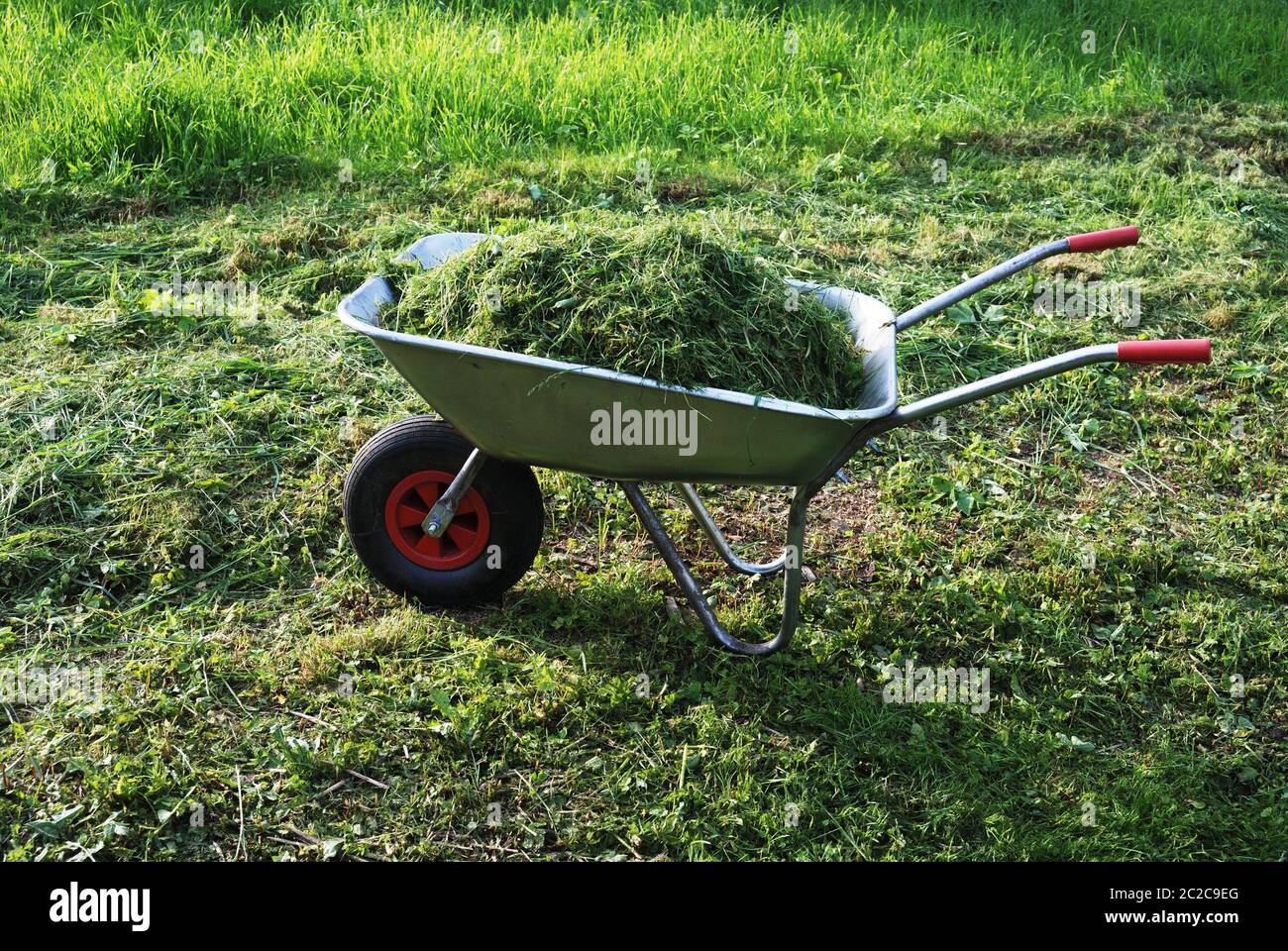 Schubkarre auf einem Rasen mit frischem Gras Stockfoto