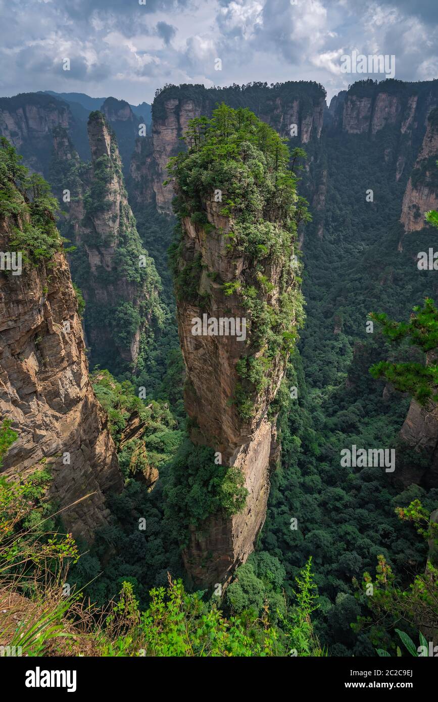 Himmel Säule Halleluja Berg in Tianzi mountain range, Avatar Berge Natur Park, Niagara-on-the-Lake, China Stockfoto