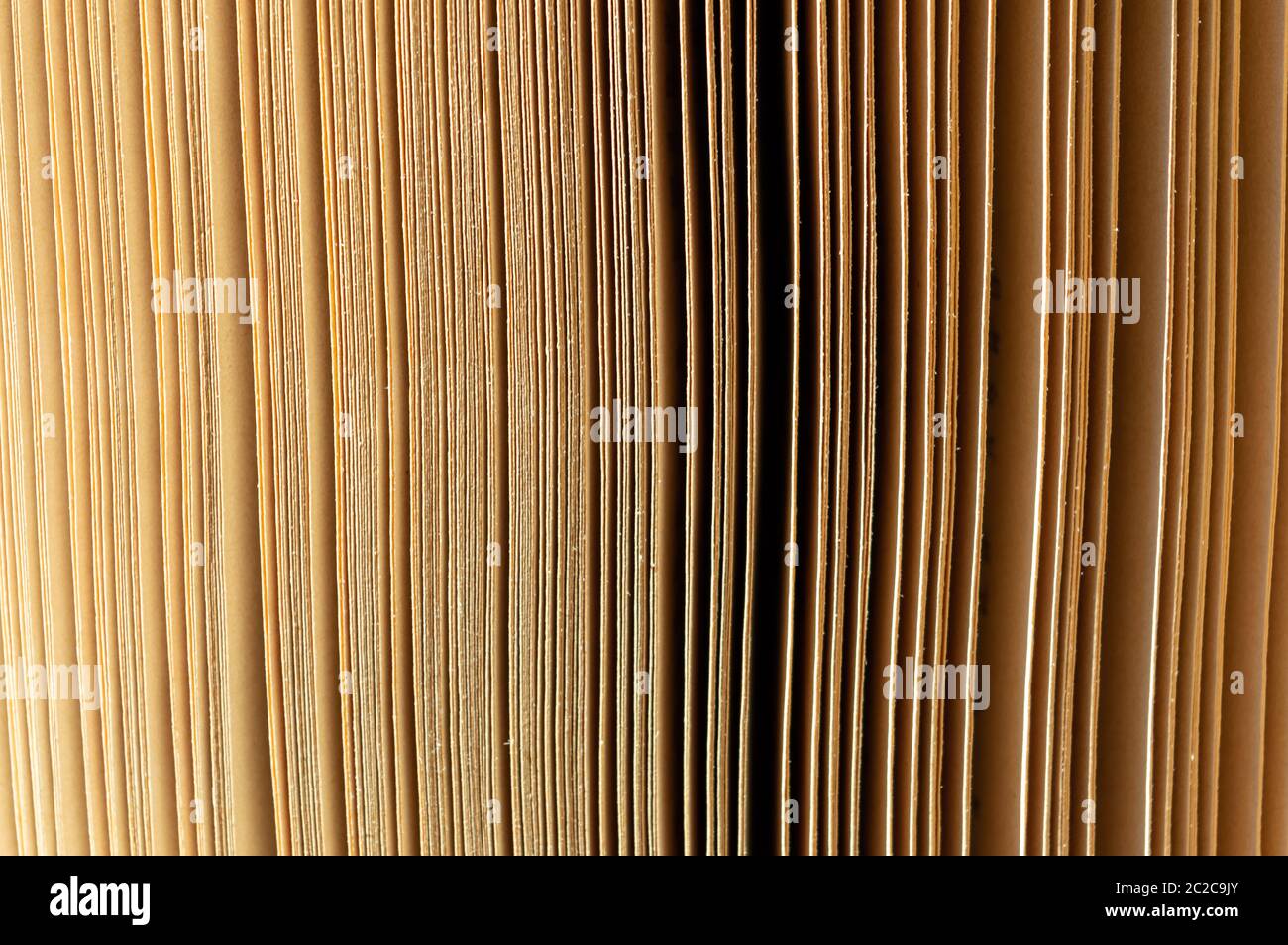 Nahaufnahme von Buchseiten bei warmem Licht Stockfoto