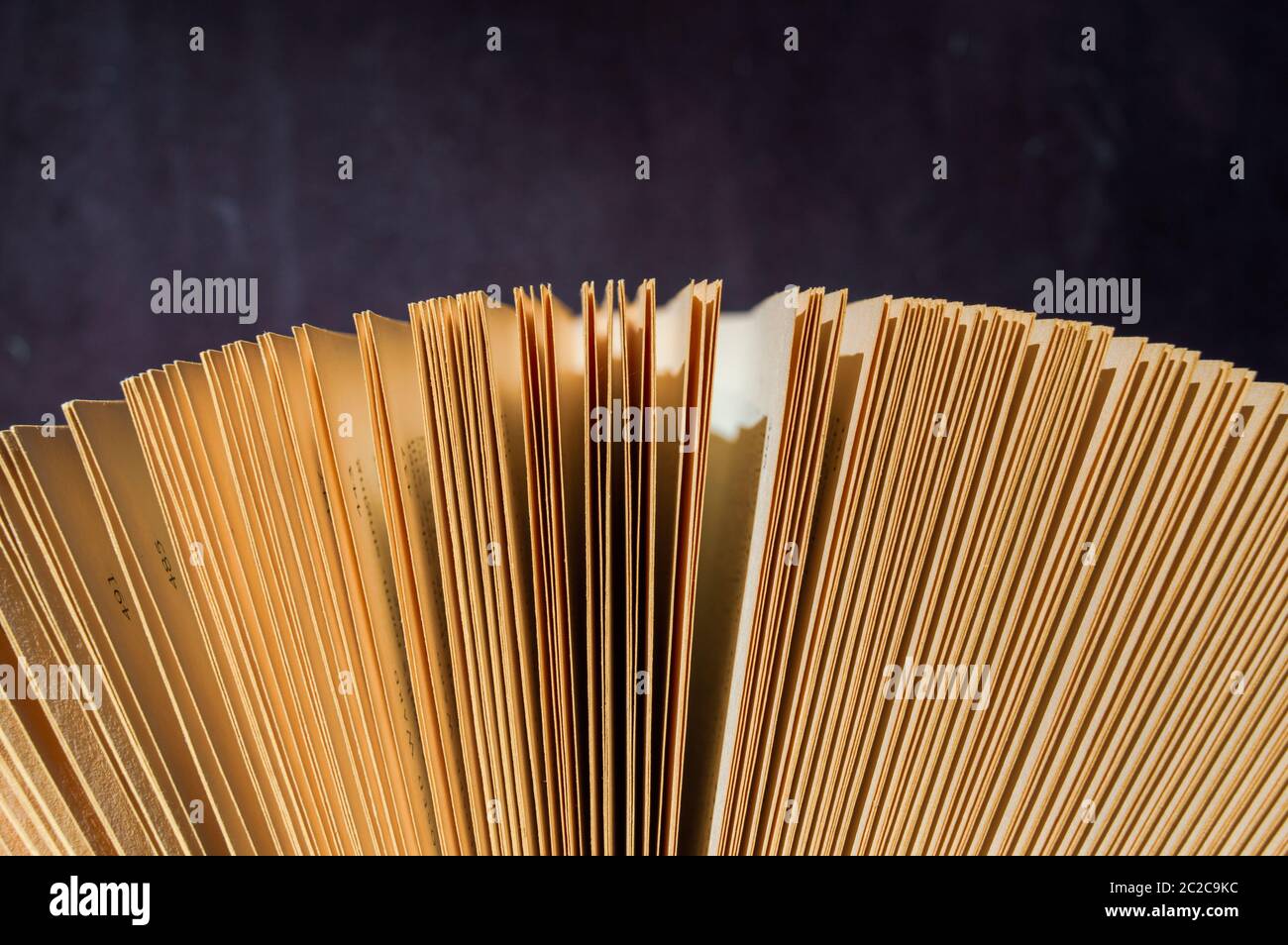 Nahaufnahme eines gebräunten Buches mit braunen Papierseiten vor einem violetten Hintergrund in warmem Licht Stockfoto