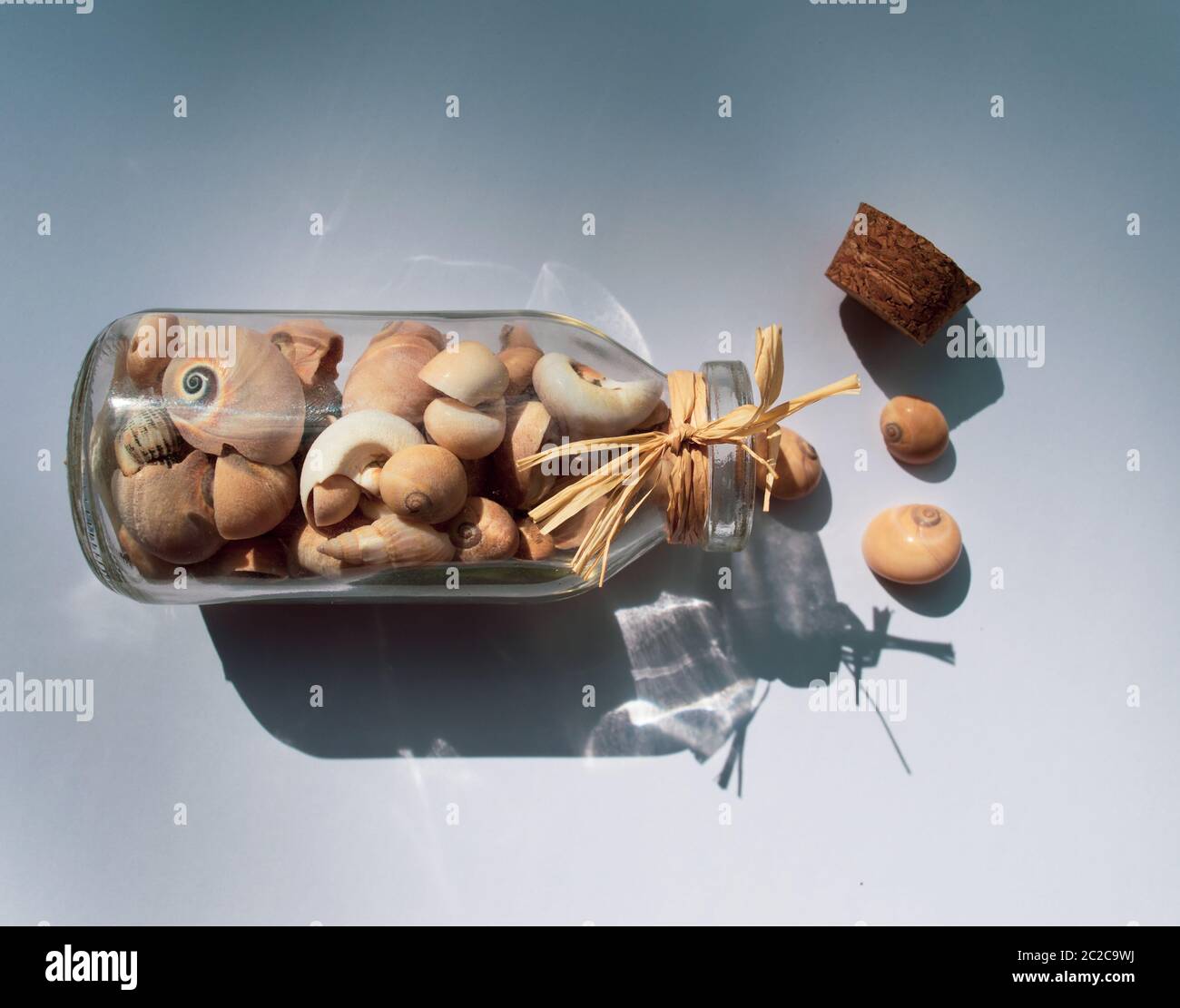 Sammlungen von Schneckenmuscheln in einer Flasche entkorkt verschüttet Stockfoto