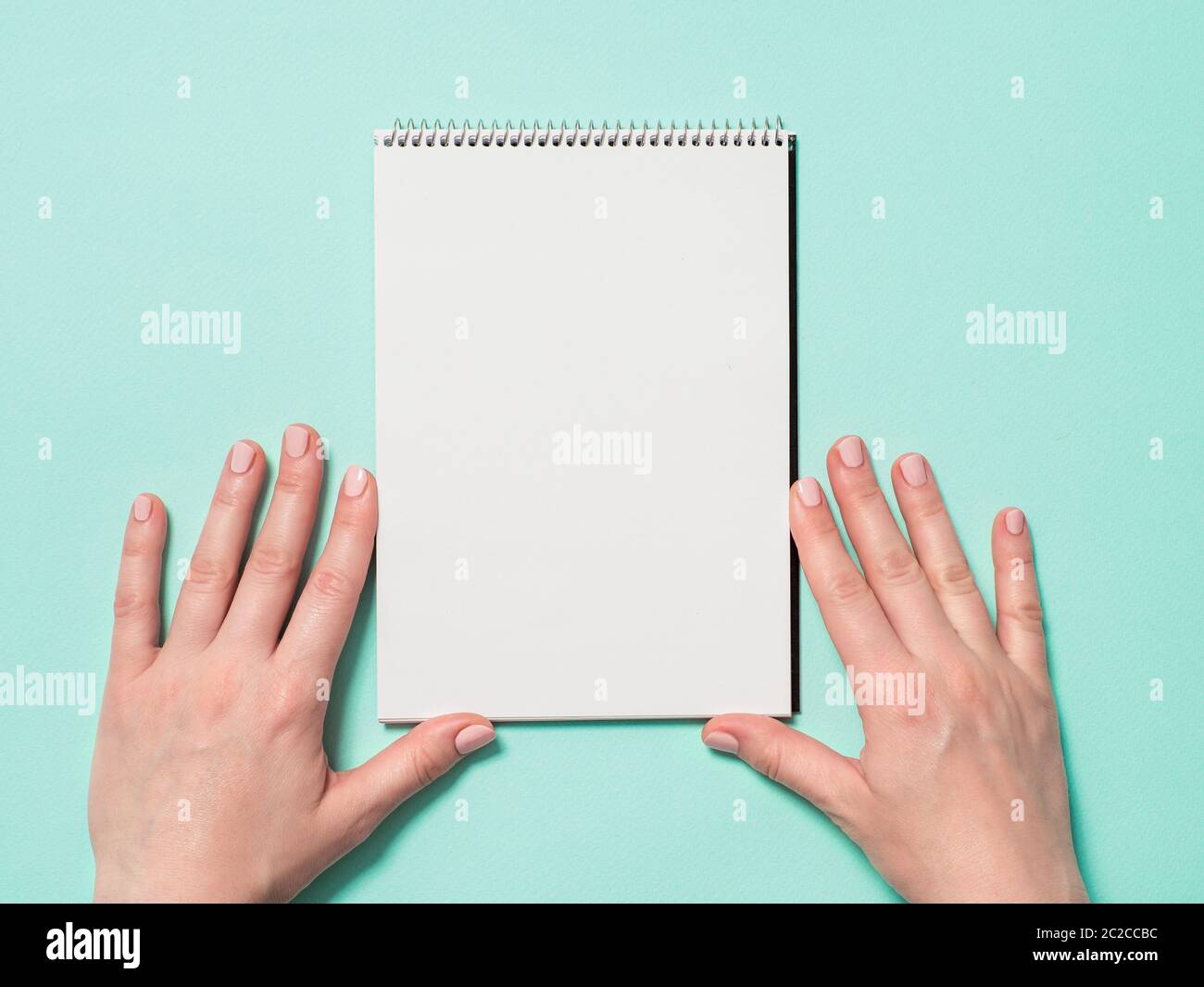 Leeres Papier Notizbuch und weibliche Hände Stockfoto